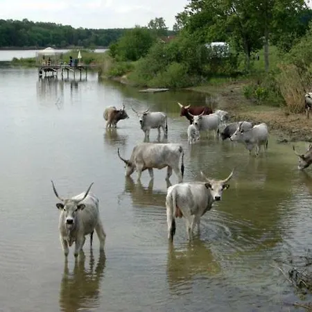 Casa vacanze Dallas-southfork Ranch Ufer-lodge 4 Personen