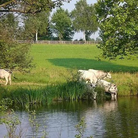 Dallas-southfork Ranch Ufer-lodge 4 Personen * Lenti
